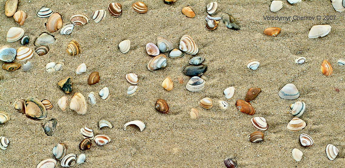 rakuschki