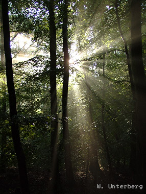Fotograf Unterberg Bild