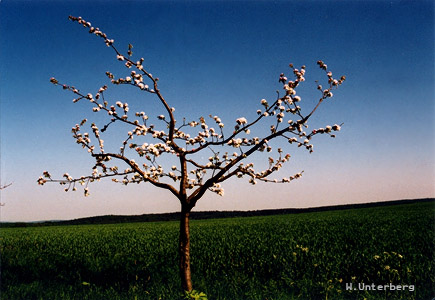 Fotograf Unterberg Bild